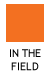 In the Field of Custom Area Rugs by Rugs As Art - Sarasota Florida